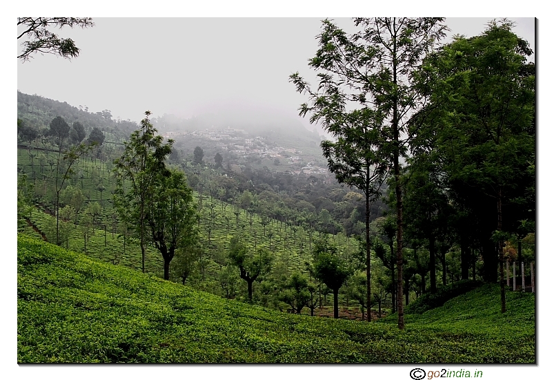 Houses on valley hills near tea plantation on the way to Dolphin nose from Coonoor Ooty
