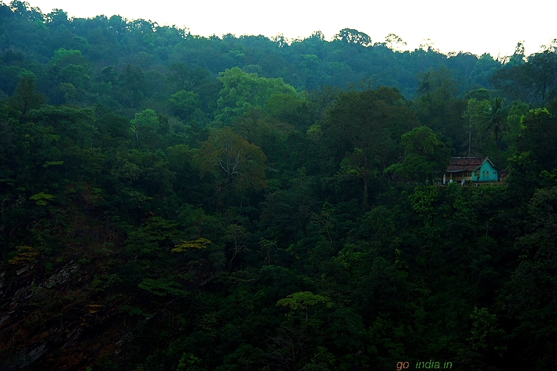 Early morning Jog falls view