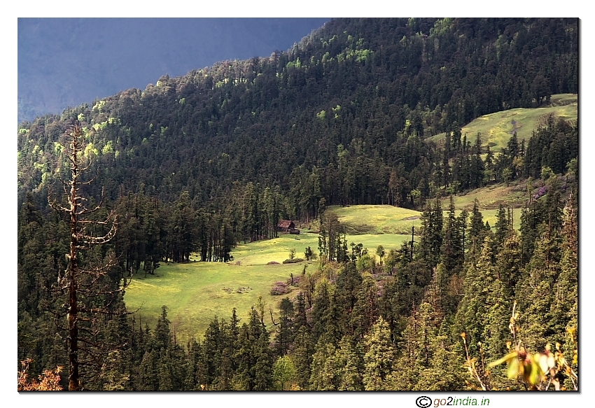 Green  Meadow during and a house near Dhunda camp trekking