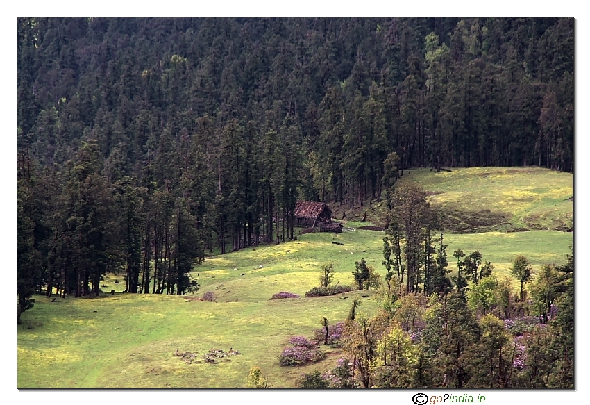Green  Meadow during the trekk