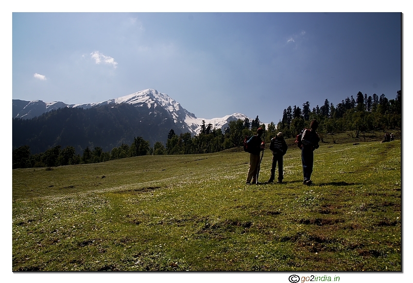 White flowers snow mountains and gree during trekking