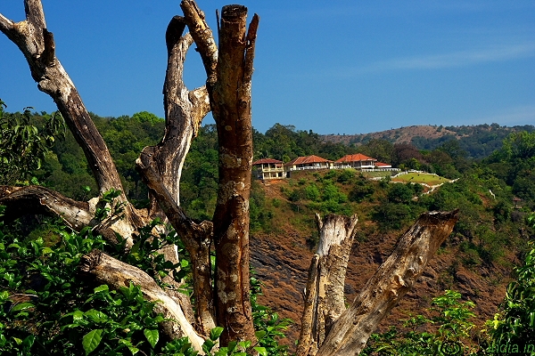 Jog falls