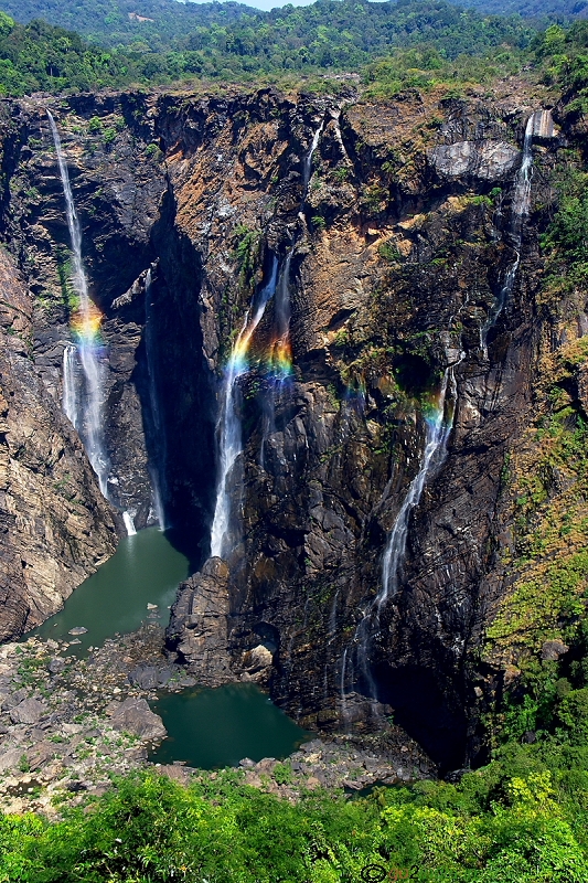 Jog falls