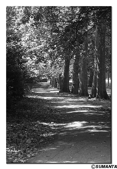 A park back of my office