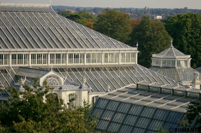 Kew garden