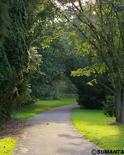 Kew garden