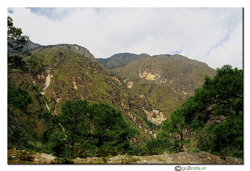 Joshimath greenery 