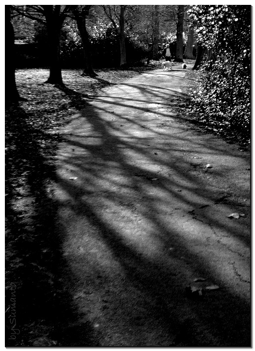 Mysterious Road