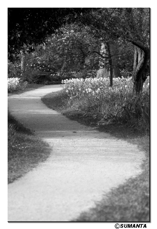 Paths