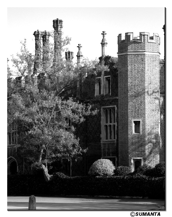 Hampton garden