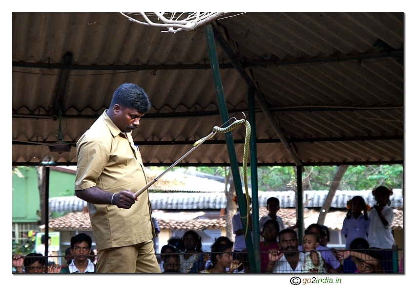Snakes Park Chennai