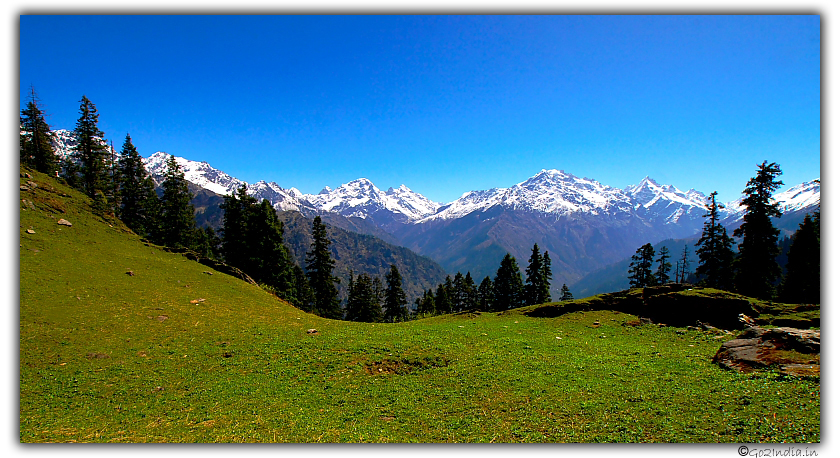 Green and Himalayan combination