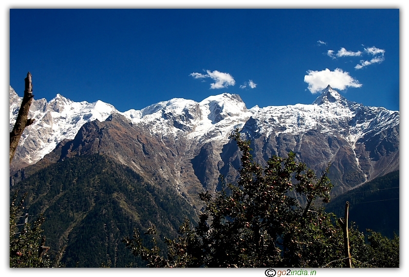 Apple garden and hills near Kalpa village 