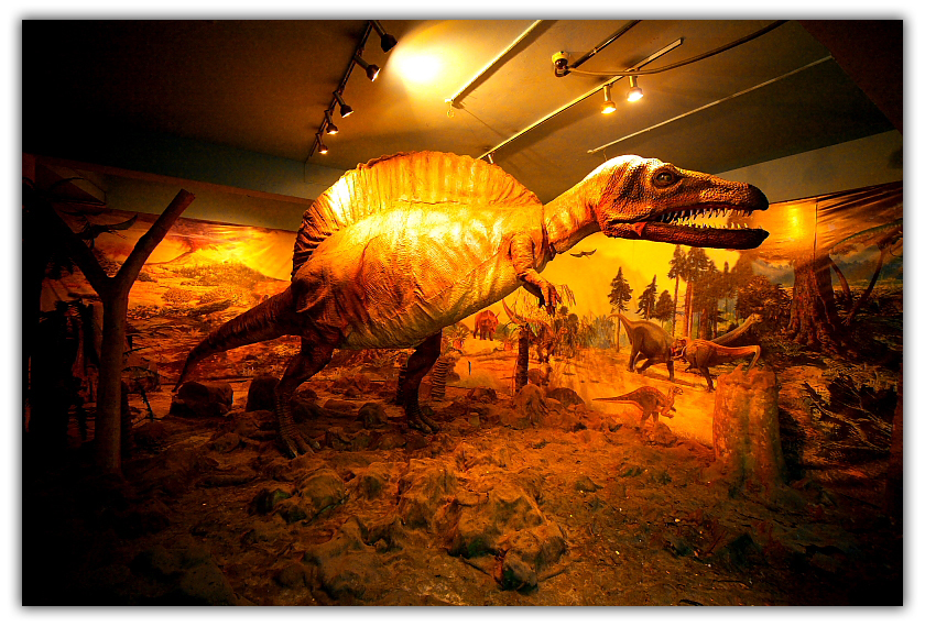 Dinosaur park