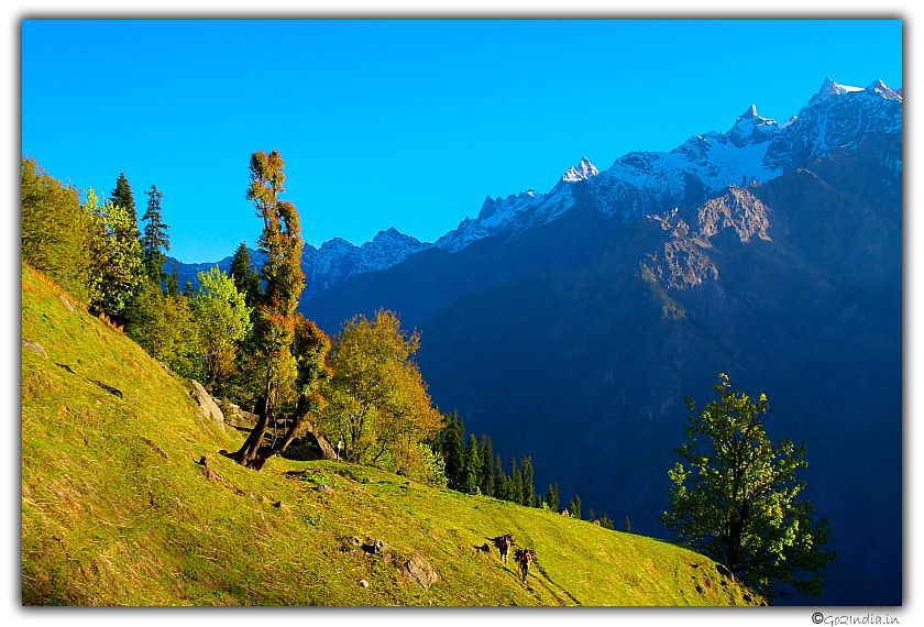 Near Zirmi