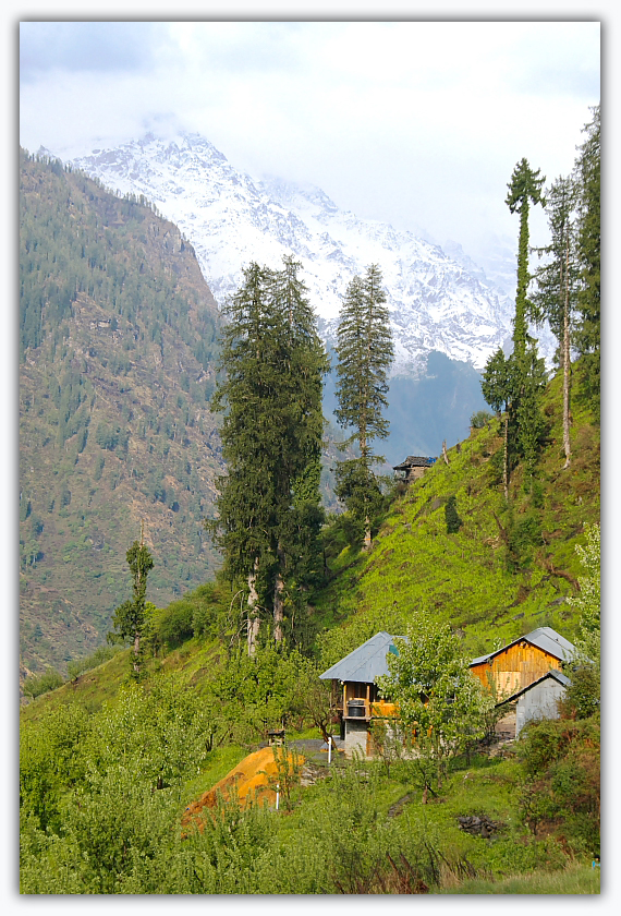 Landascape at Guna Pani