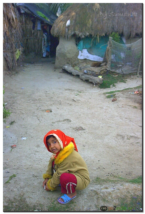 Sundarban