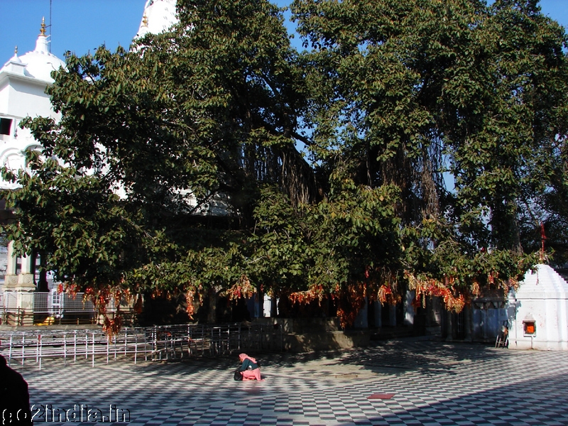 Kangra Mandir