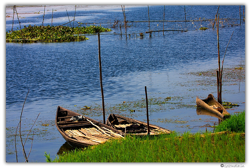 Purbasthali oxbow lake bird sanctuary