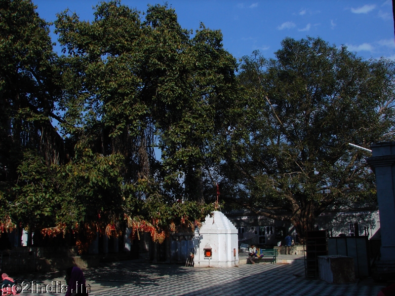 Kangra Mandir