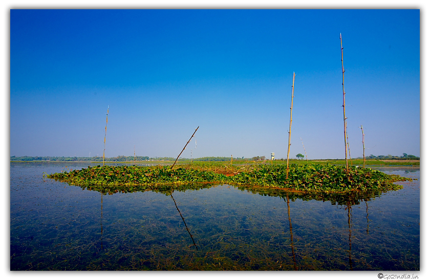 Purbasthali lake