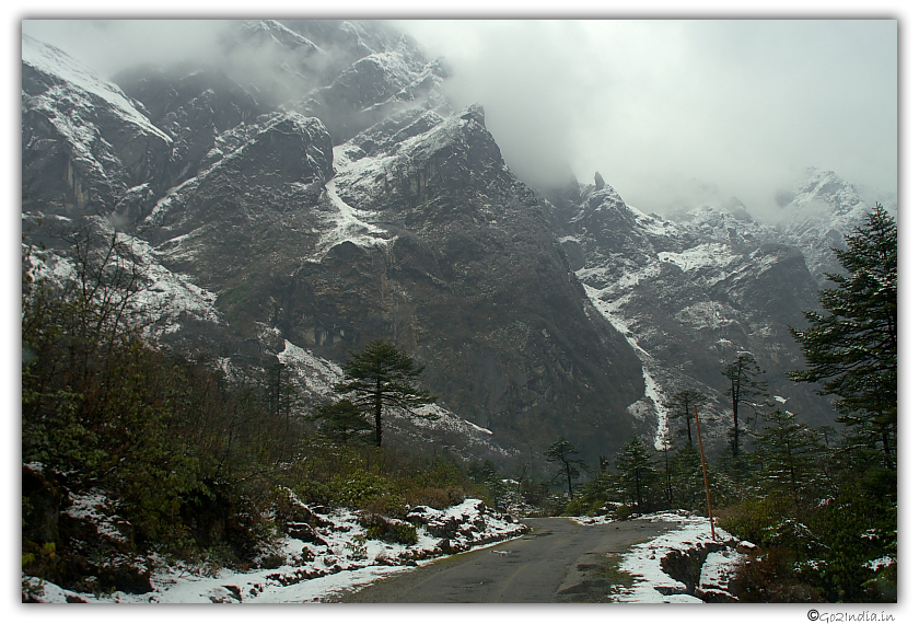 Road towards Yumthang valley