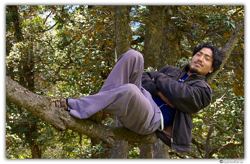 Guide Krishna