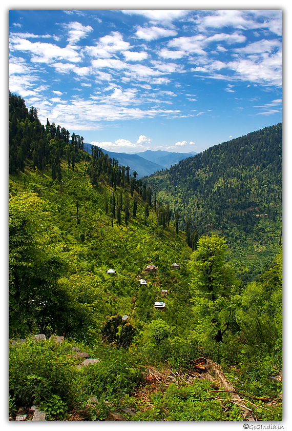 Lush green and valley view