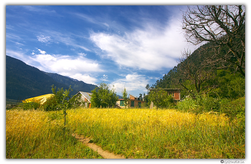 Before reaching Alu ground during YHAI Saurkundi pass trek