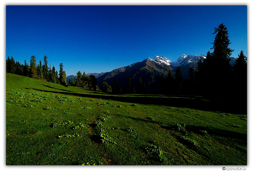 Beauty of light at Bhandak Thatch