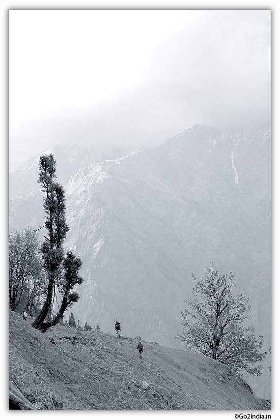 nature beauty at Himalaya