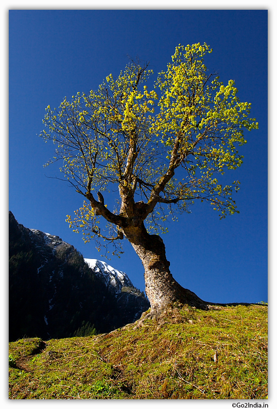 Landscape of Himalaya using Tamron 11-18 with Canon 30D