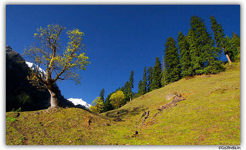 Snow white Himalayan peaks