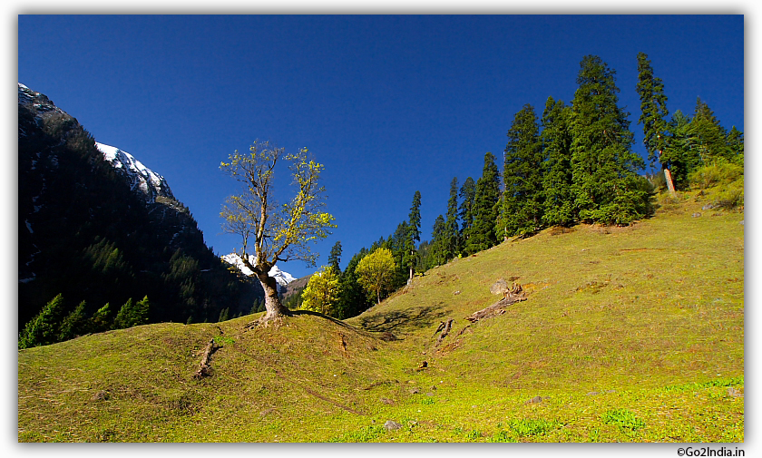 Wider view of landscape on the way to Sarpass 