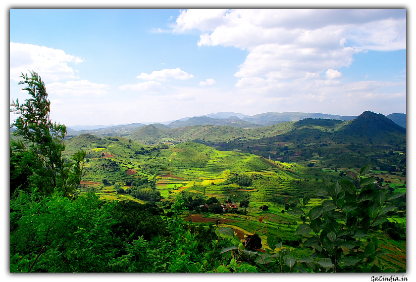 Araku view green valley
