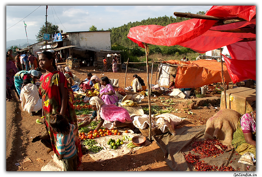 Village market near Araku 