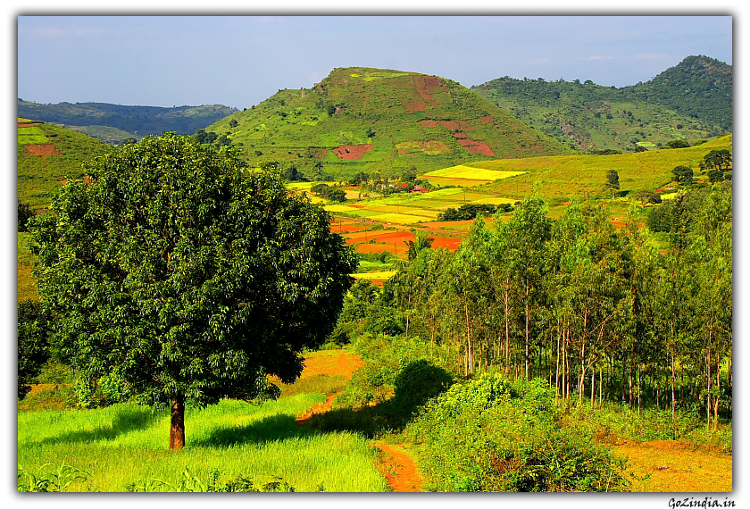 View of valley from road at Araku