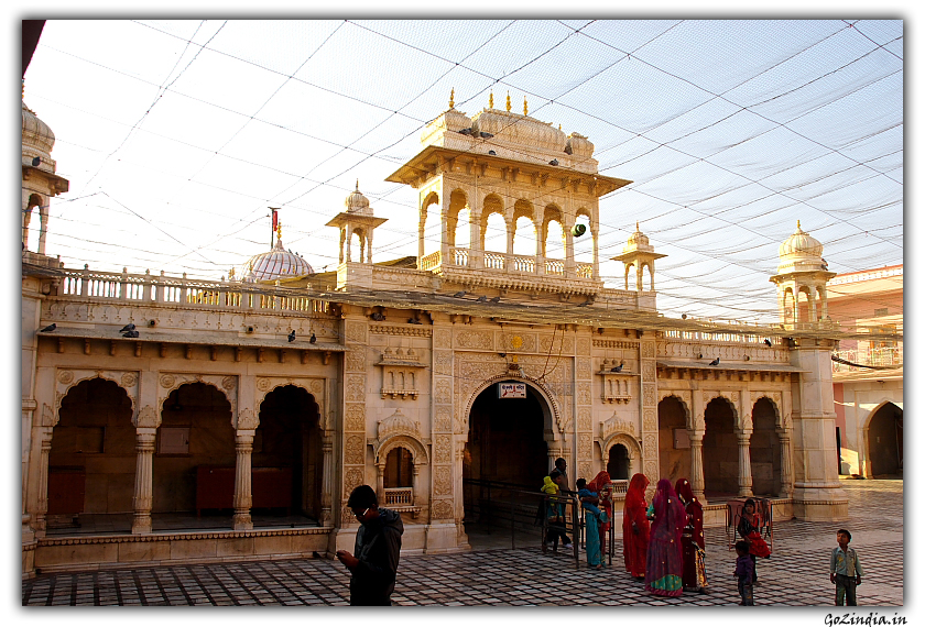 Karni mata mandir Bikaner