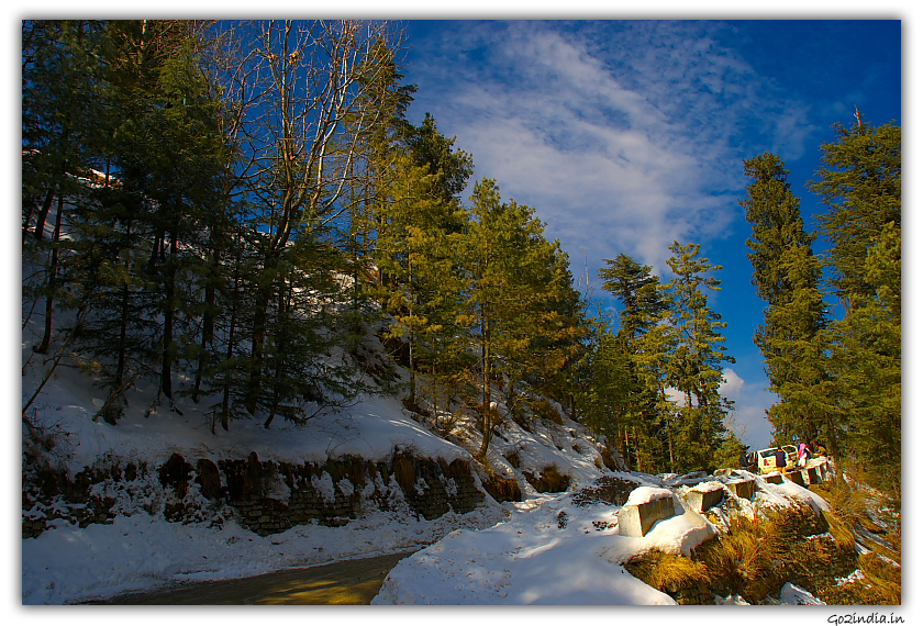 Snow on slopes of Kufri in winter