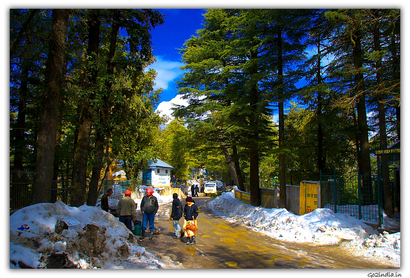 Roads with snow at Kufri