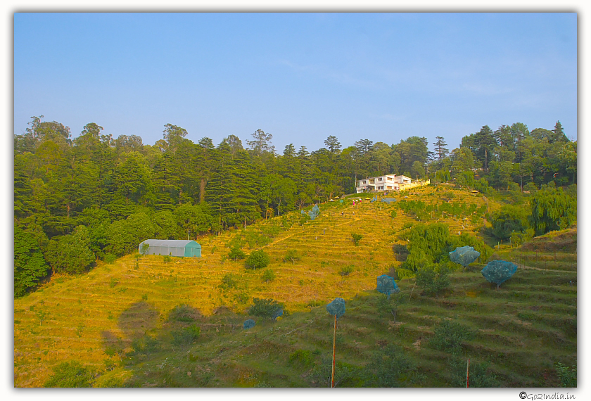 Chaubatia fruits garden at Ranikhet