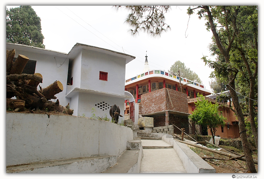 Near to Kali temple Ranikhet