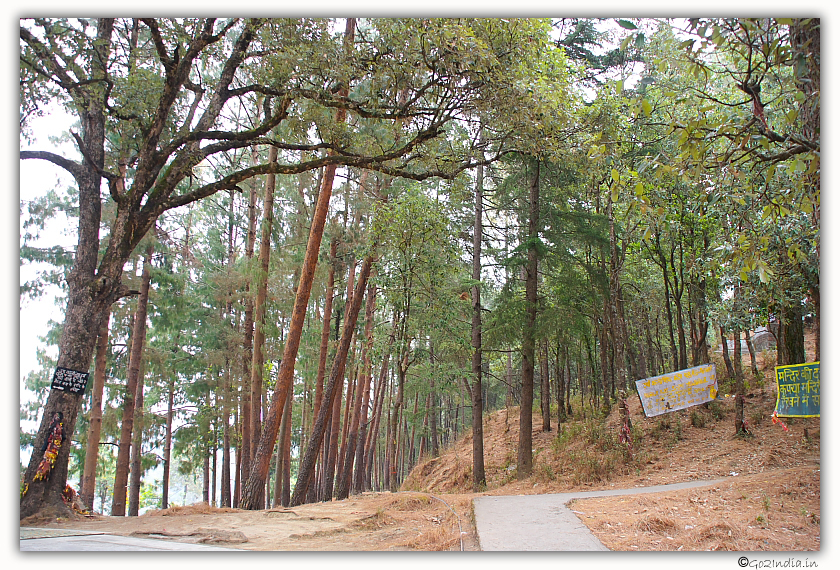 Path to Kali temple Ranikhet
