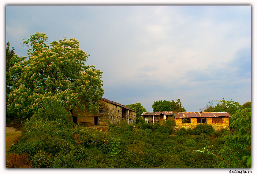 An old house or say bunglow of a local person.