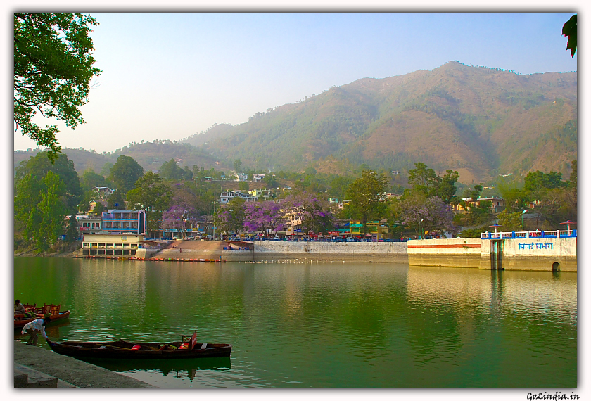 Purple flowers on the opposite shore of Bhimtal lake