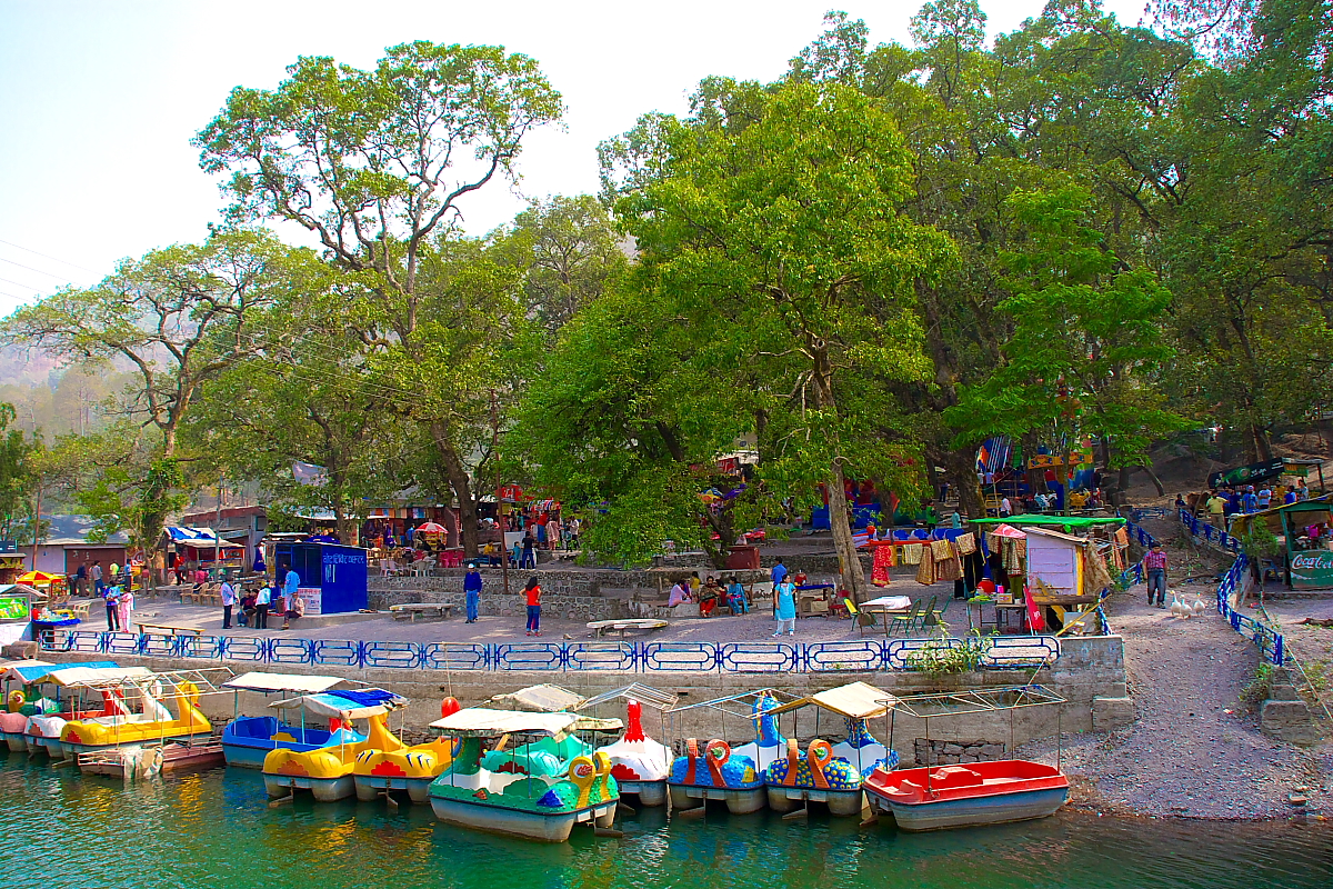 view of the boats parked on the bank of the lake