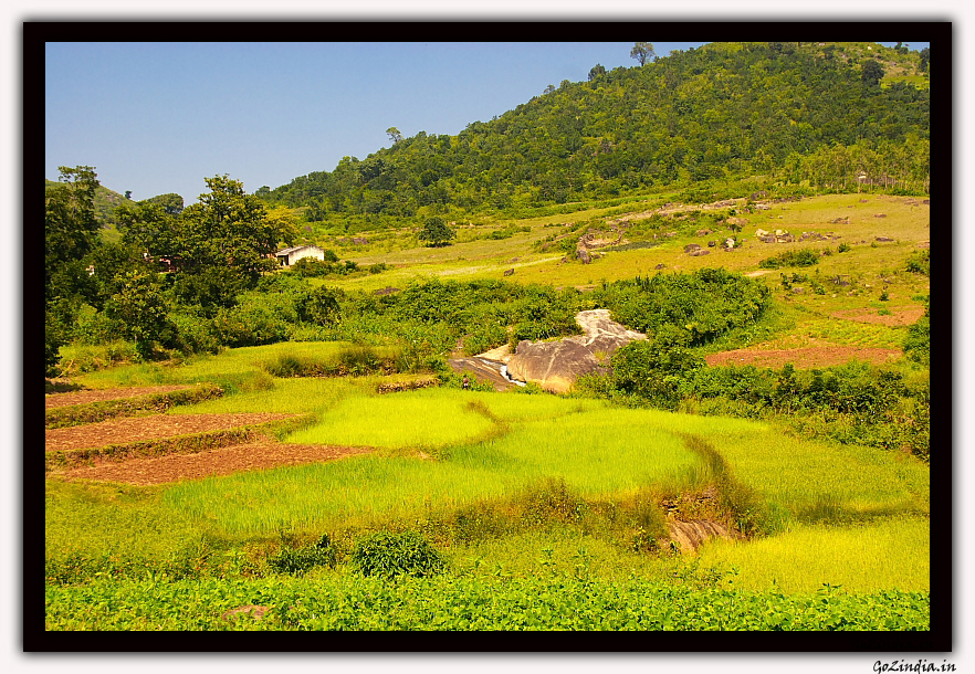 terrace farming at the valleys