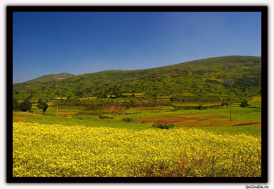 valleys of sunkhi ghati