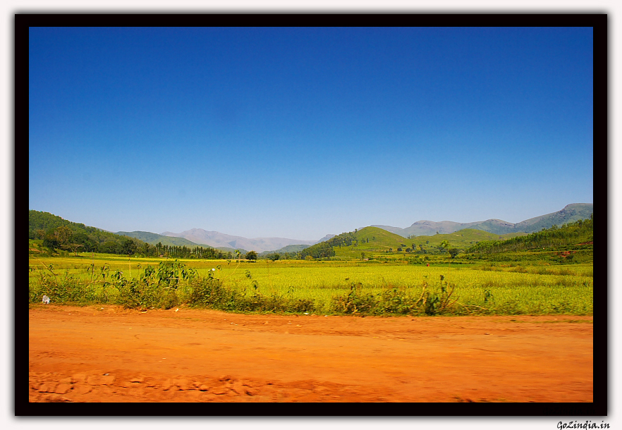 Greenery on the road side in Odisha