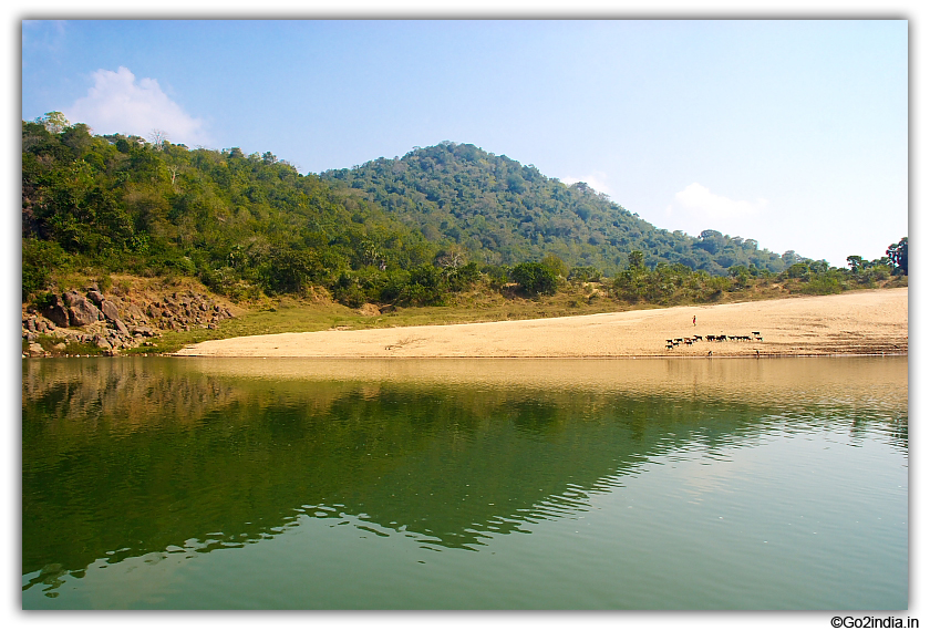 River Banks at Godavari